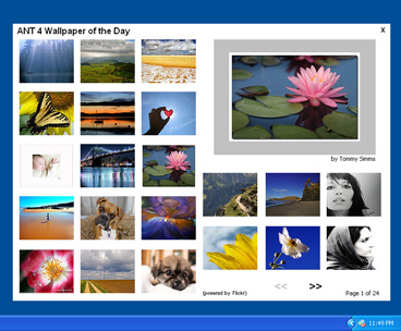 screenshot of ANT 4 Wallpaper of the Day wallpaper,desktop,download,free,image,picture